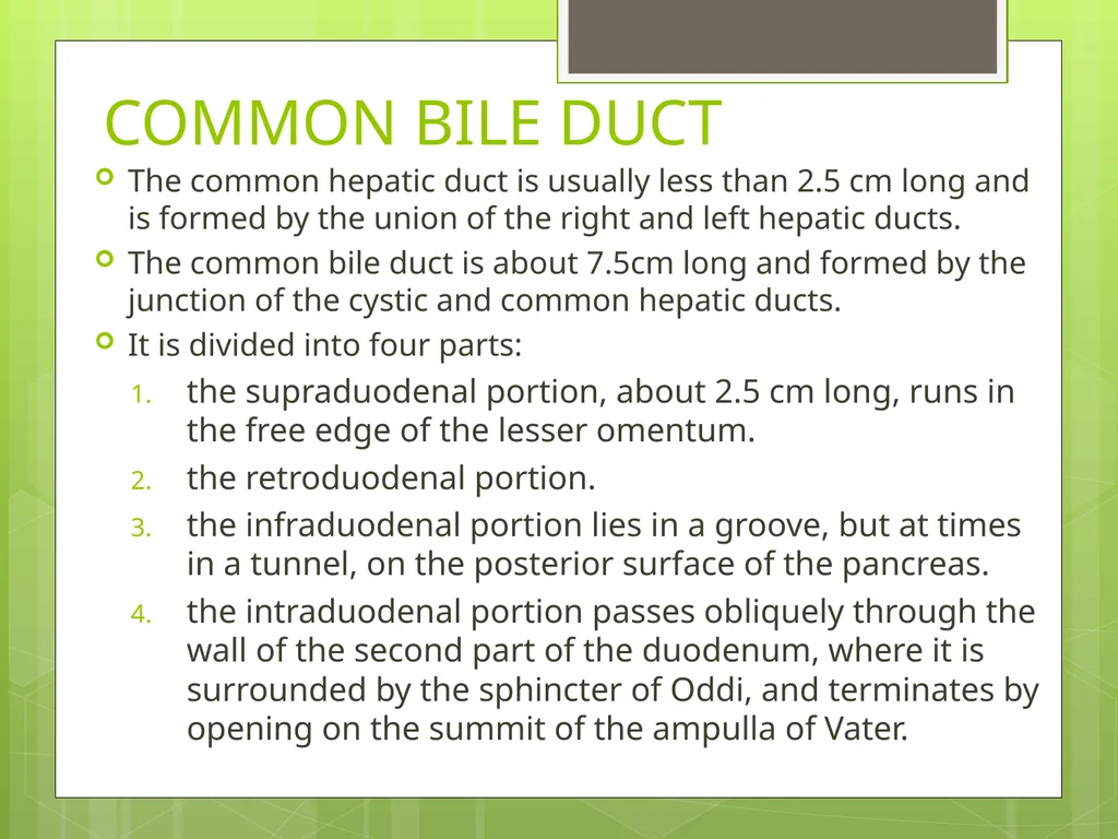 The gallbladder and bile ducts SURGICAL ANATOMY - slide 5 of 19