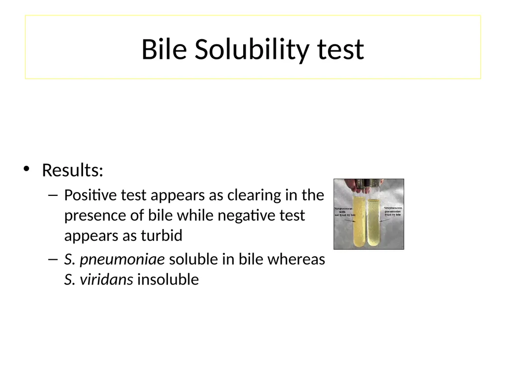Streptococci assist. Prof. Zainab Abdul jabar - slide 23 of 32
