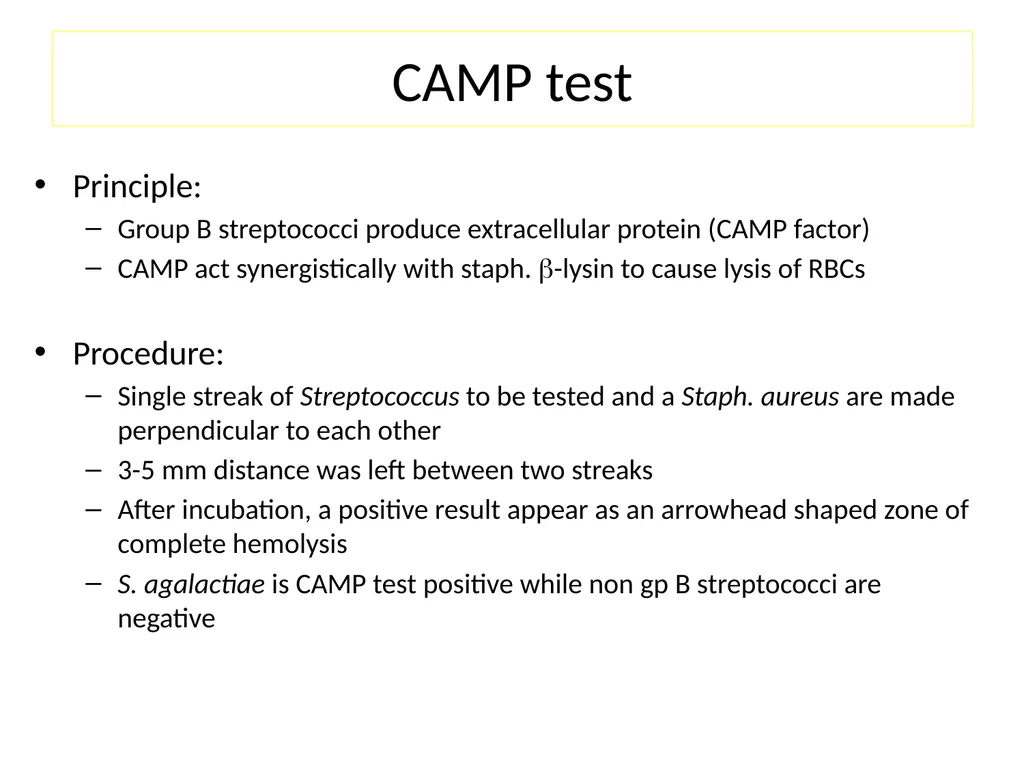 Streptococci assist. Prof. Zainab Abdul jabar - slide 18 of 32