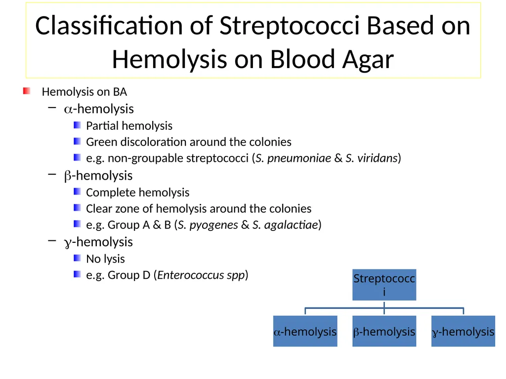 Streptococci assist. Prof. Zainab Abdul jabar - slide 10 of 32