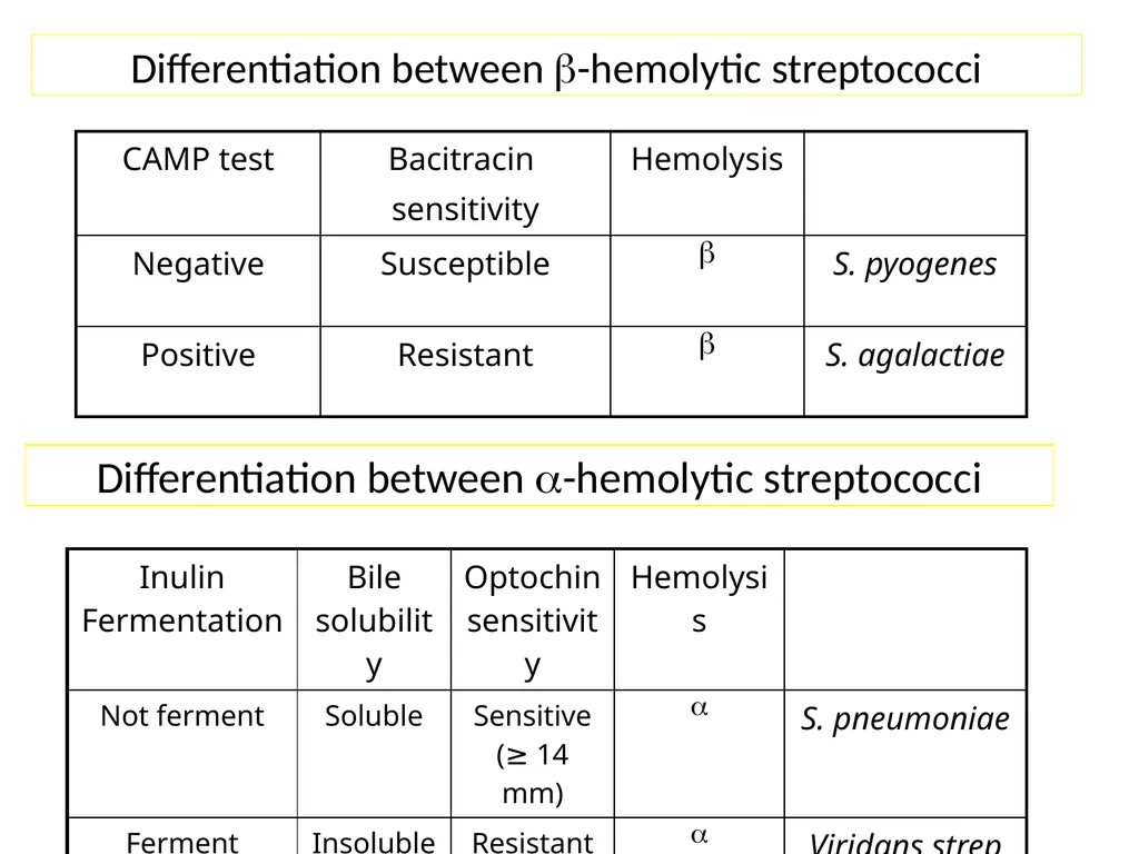 Streptococci assist. Prof. Zainab Abdul jabar - slide 24 of 32
