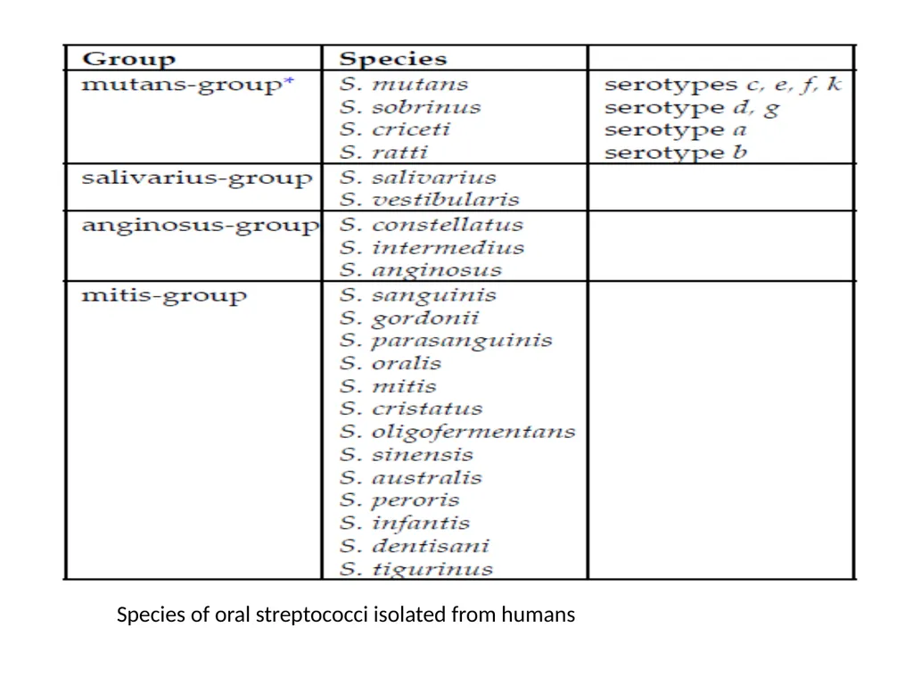 Streptococci assist. Prof. Zainab Abdul jabar - slide 30 of 32