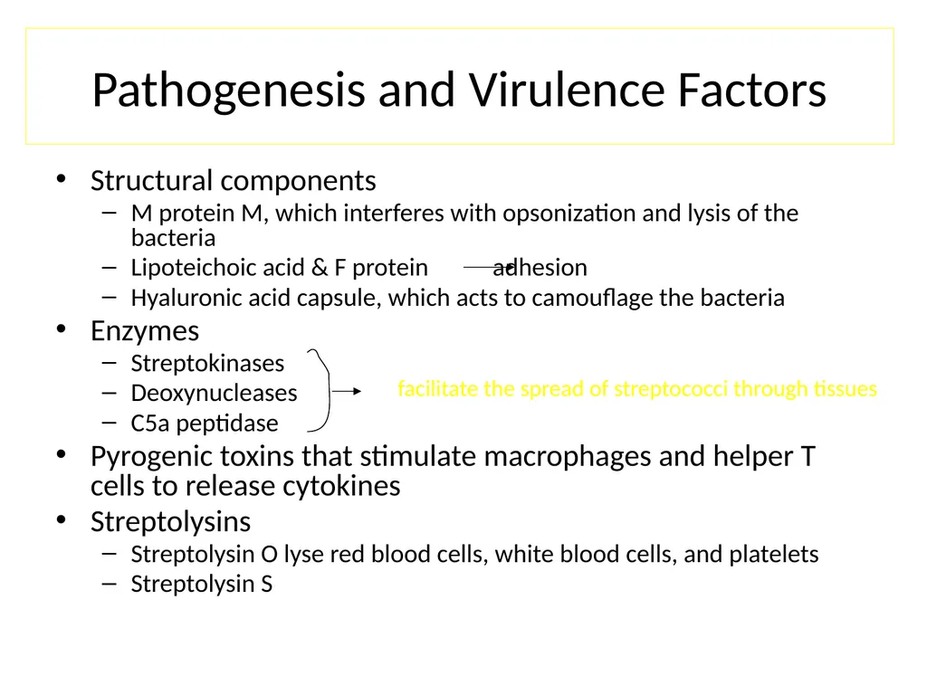 Streptococci assist. Prof. Zainab Abdul jabar - slide 14 of 32