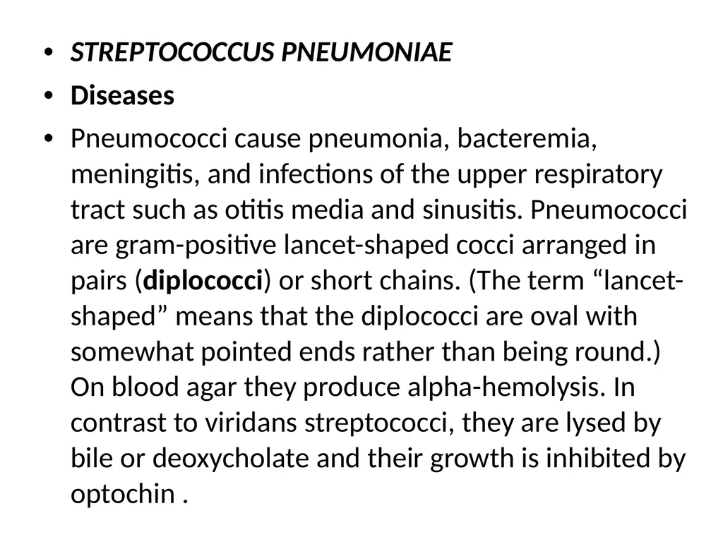 Streptococci assist. Prof. Zainab Abdul jabar - slide 25 of 32