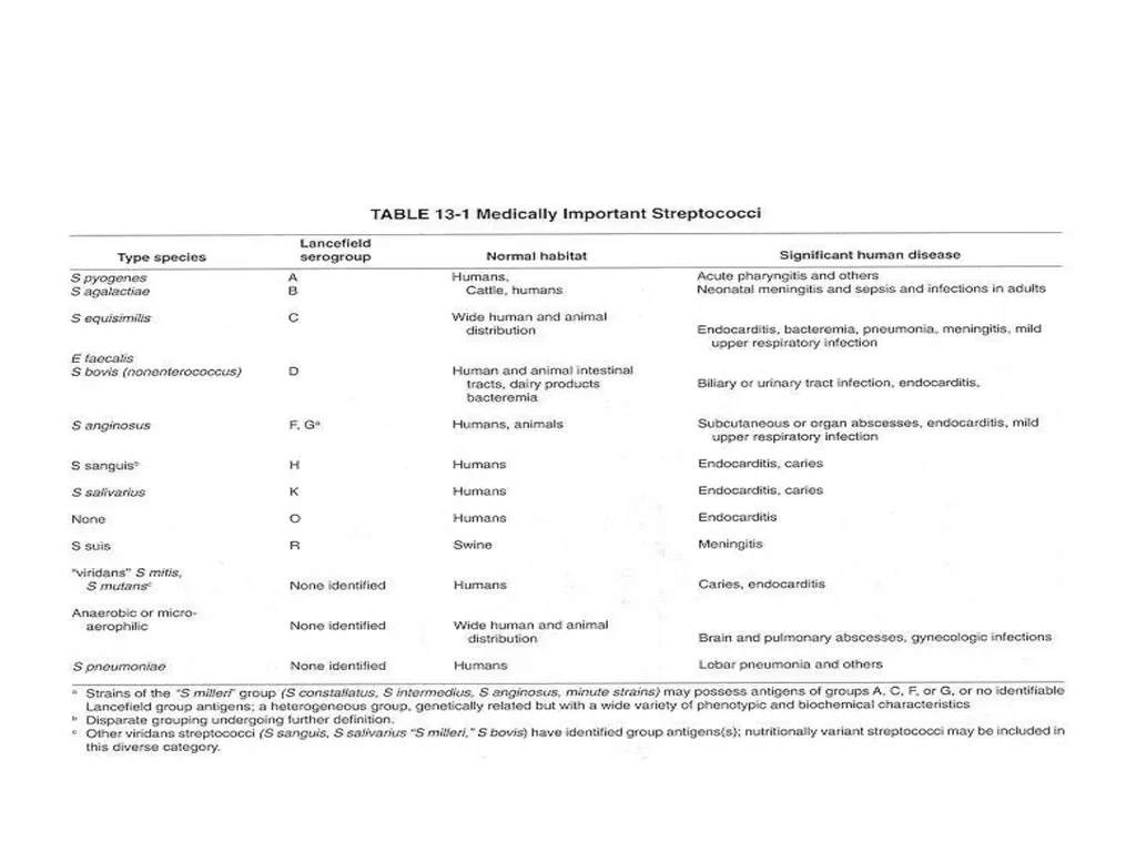 Streptococci assist. Prof. Zainab Abdul jabar - slide 9 of 32