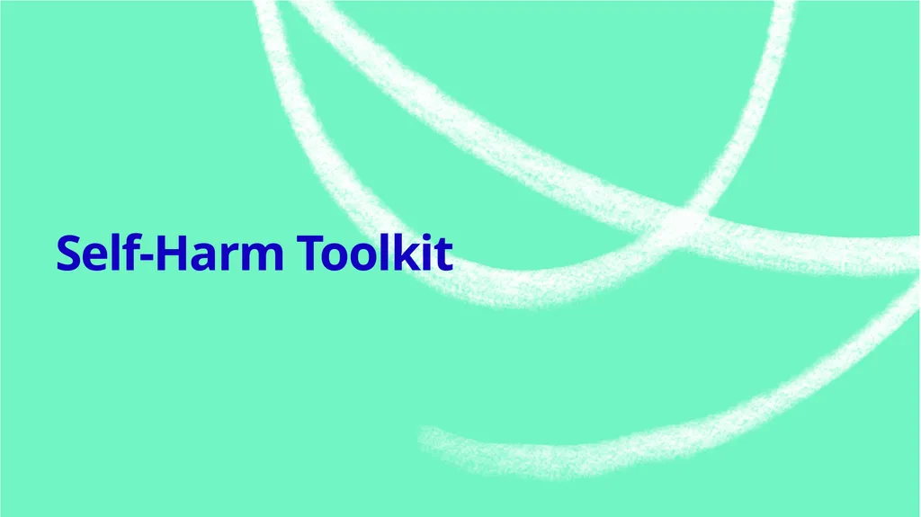Let’s talk about…. Self-harm Toolkit Expectations - slide 17 of 42