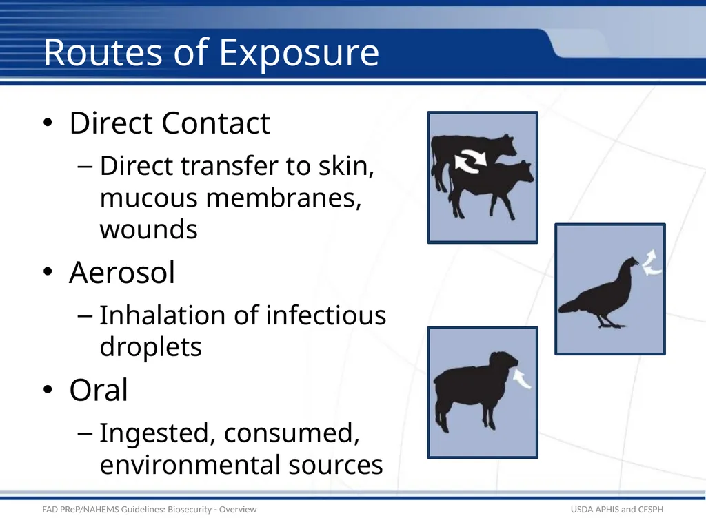 Biosecurity Overview Adapted from the FAD - slide 6 of 31