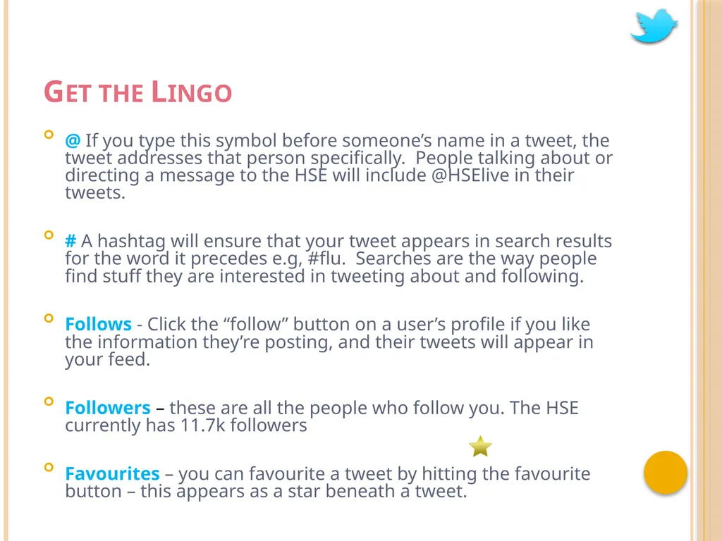 HSE Communications Division – Digital Team The - slide 4 of 26