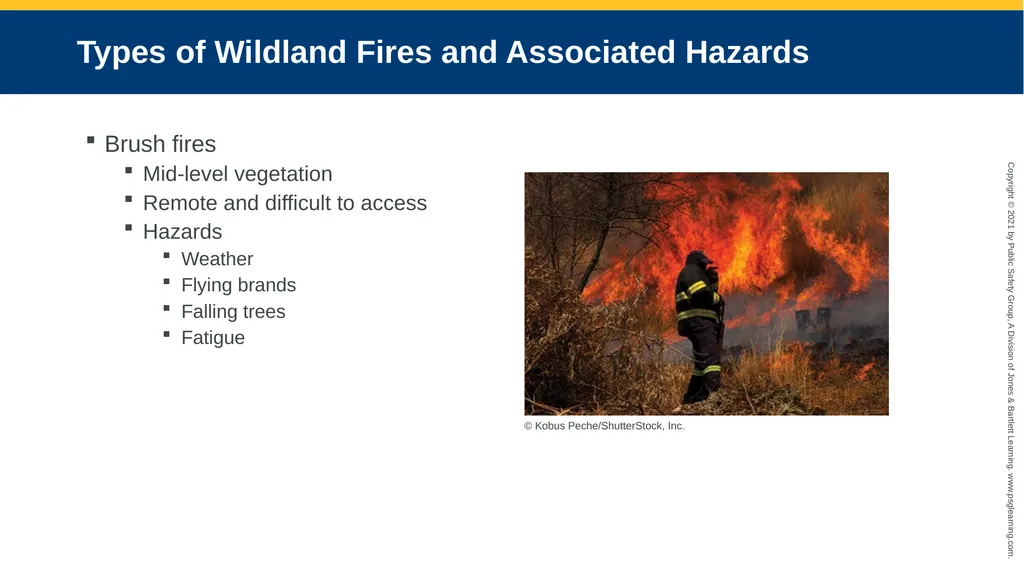 CHAPTER 17 Wildland Fires Objectives Describe what - slide 9 of 30