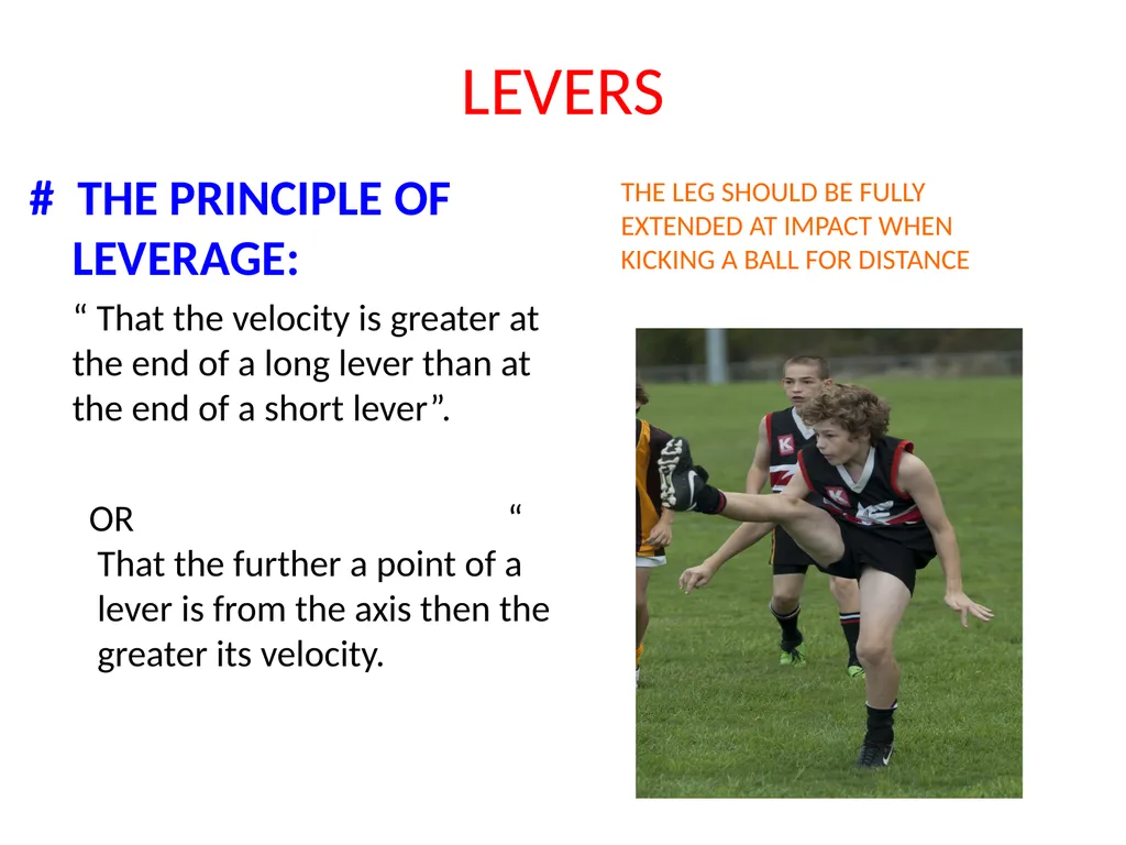 THIRD CLASS LEVERS # Third class levers : The - slide 5 of 8