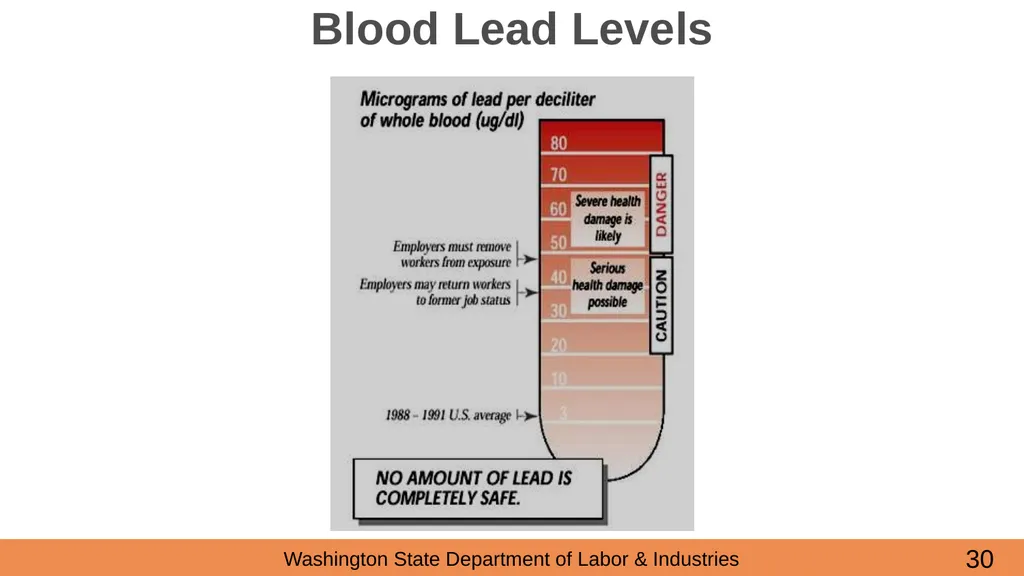Lead in Construction Training on the hazards of - slide 30 of 43