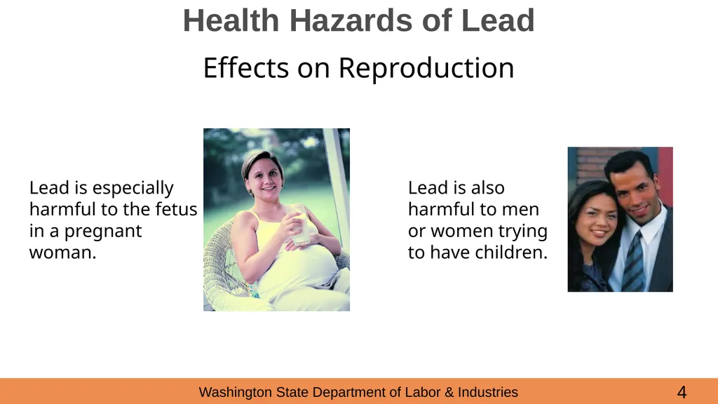 Lead in Construction Training on the hazards of - slide 4 of 43