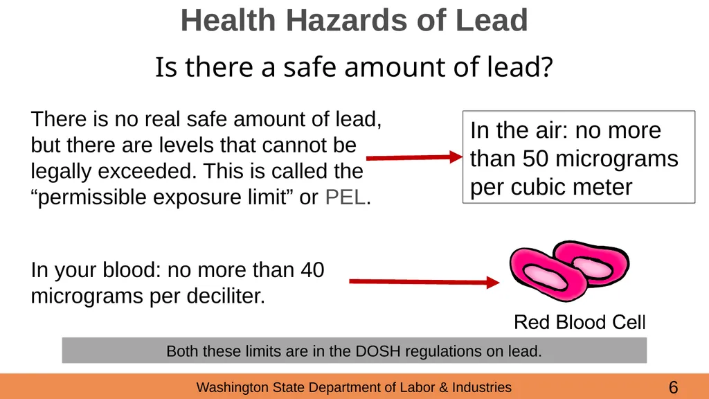 Lead in Construction Training on the hazards of - slide 6 of 43