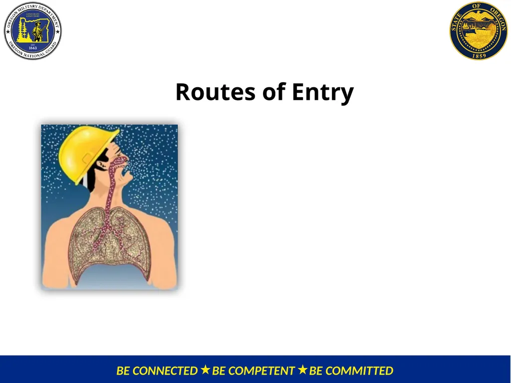 OMD Safety Policy Training REDUCING SILICA - slide 6 of 28
