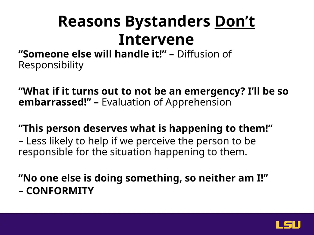 Do Something. Help stop hazing at LSU. High Risk - slide 20 of 36