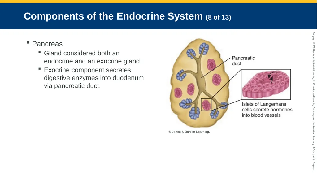 Endocrine Emergencies CHAPTER 24 Introduction - slide 10 of 102