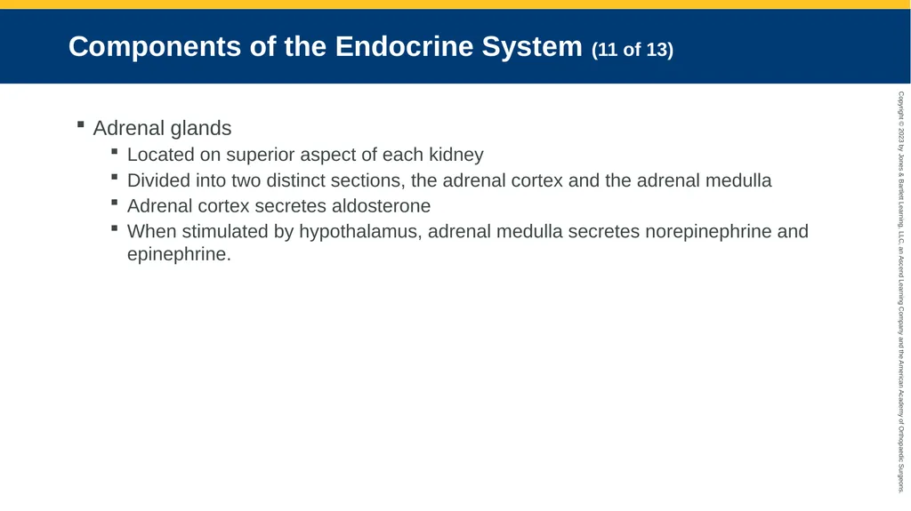 Endocrine Emergencies CHAPTER 24 Introduction - slide 13 of 102