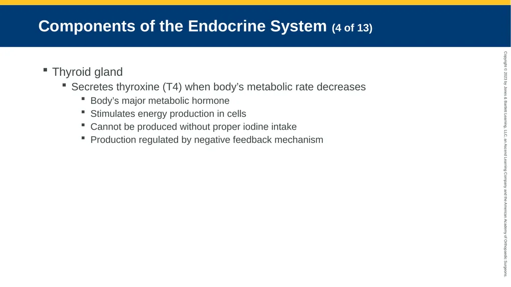 Endocrine Emergencies CHAPTER 24 Introduction - slide 6 of 102