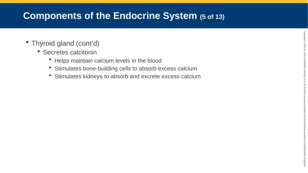 Endocrine Emergencies CHAPTER 24 Introduction - slide 7 of 102