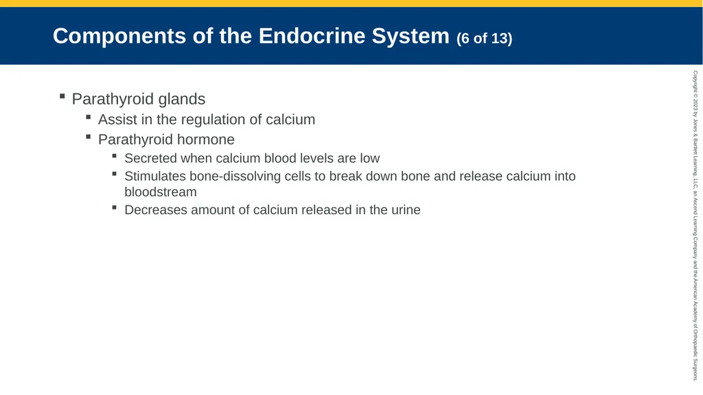 Endocrine Emergencies CHAPTER 24 Introduction - slide 8 of 102