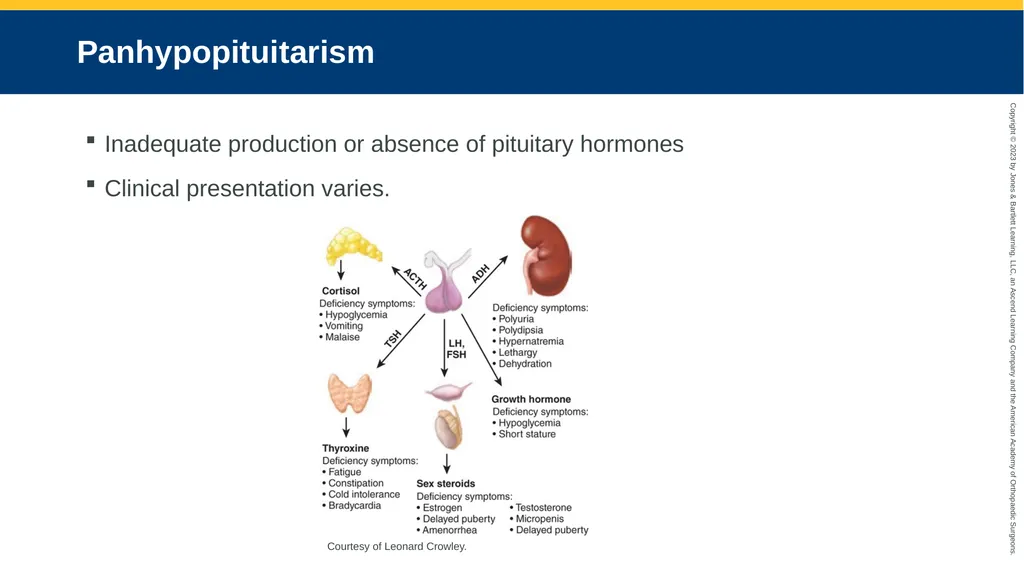 Endocrine Emergencies CHAPTER 24 Introduction - slide 100 of 102