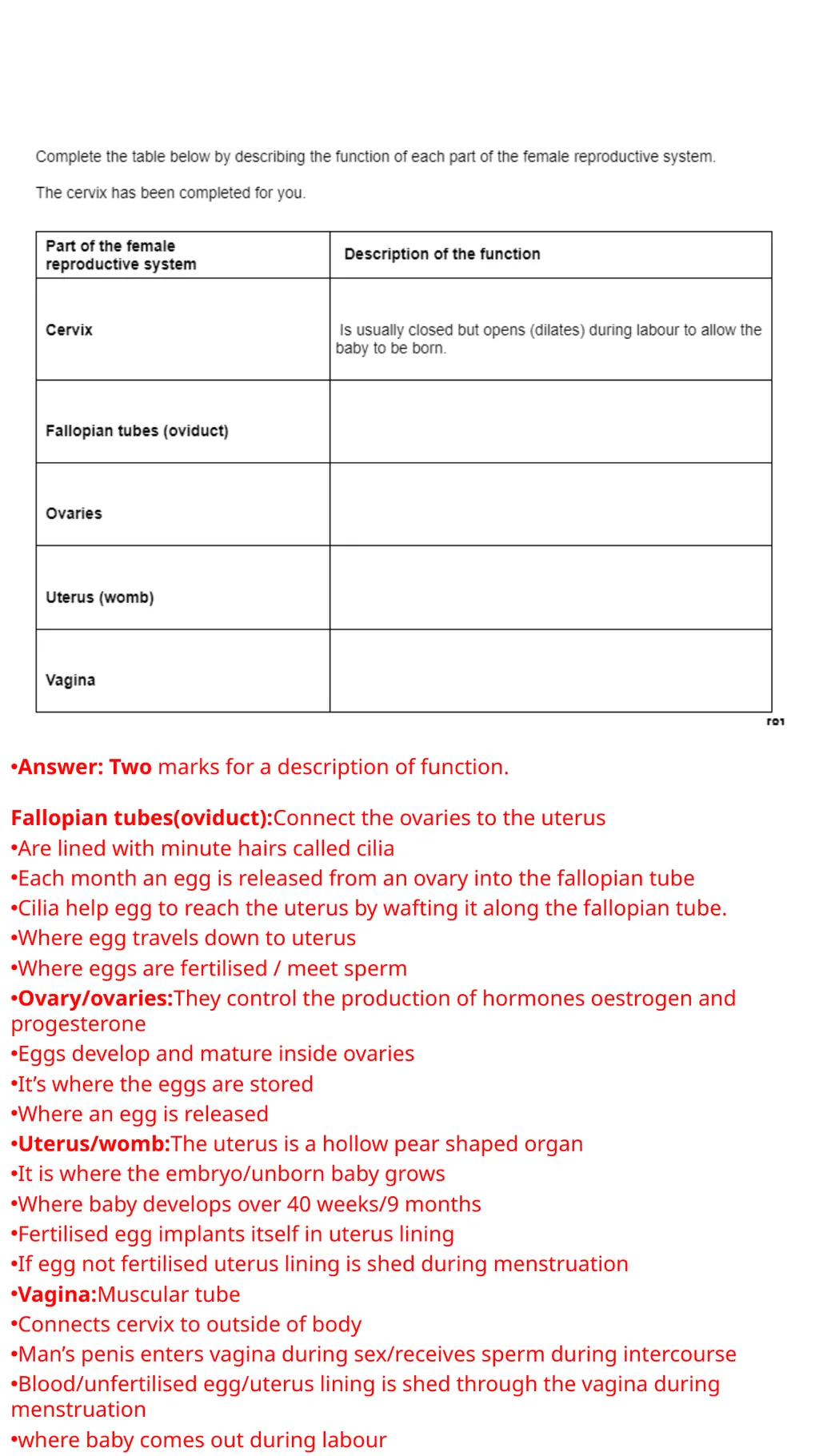 Child Development Revision Guide CNAT OCR Name: - slide 41 of 45