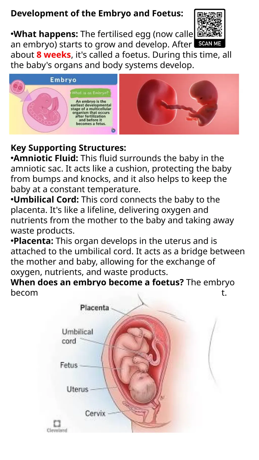 Child Development Revision Guide CNAT OCR Name: - slide 26 of 45