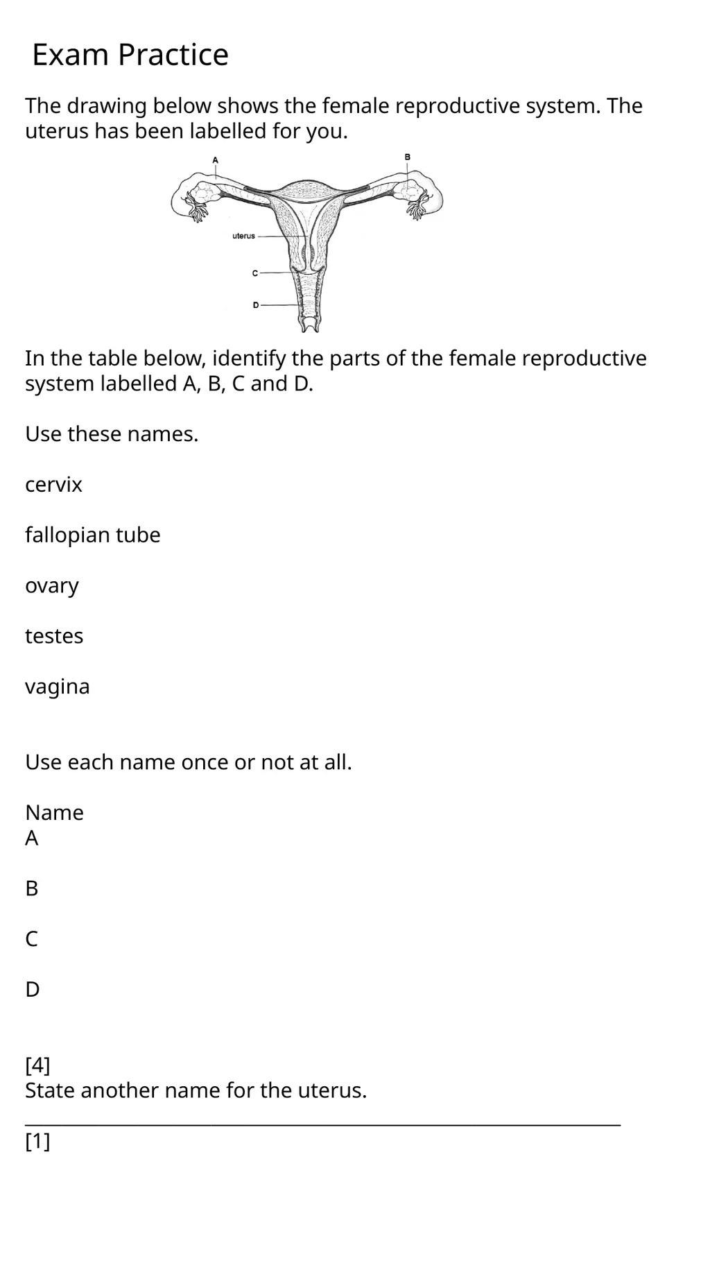 Child Development Revision Guide CNAT OCR Name: - slide 23 of 45