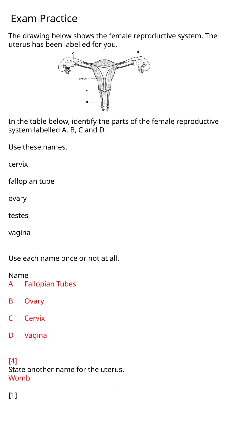 Child Development Revision Guide CNAT OCR Name: - slide 40 of 45