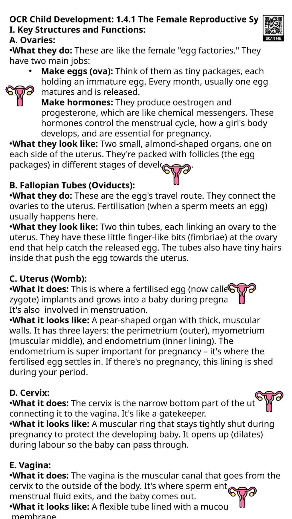 Child Development Revision Guide CNAT OCR Name: - slide 17 of 45