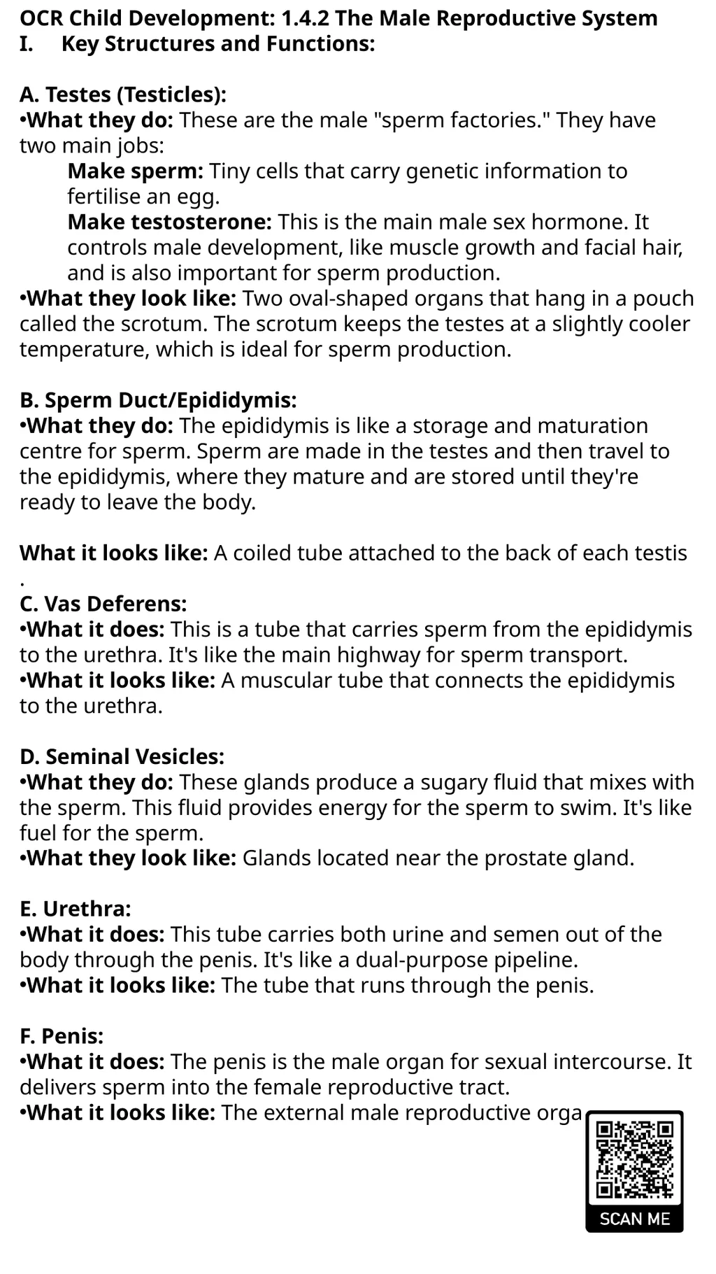 Child Development Revision Guide CNAT OCR Name: - slide 21 of 45