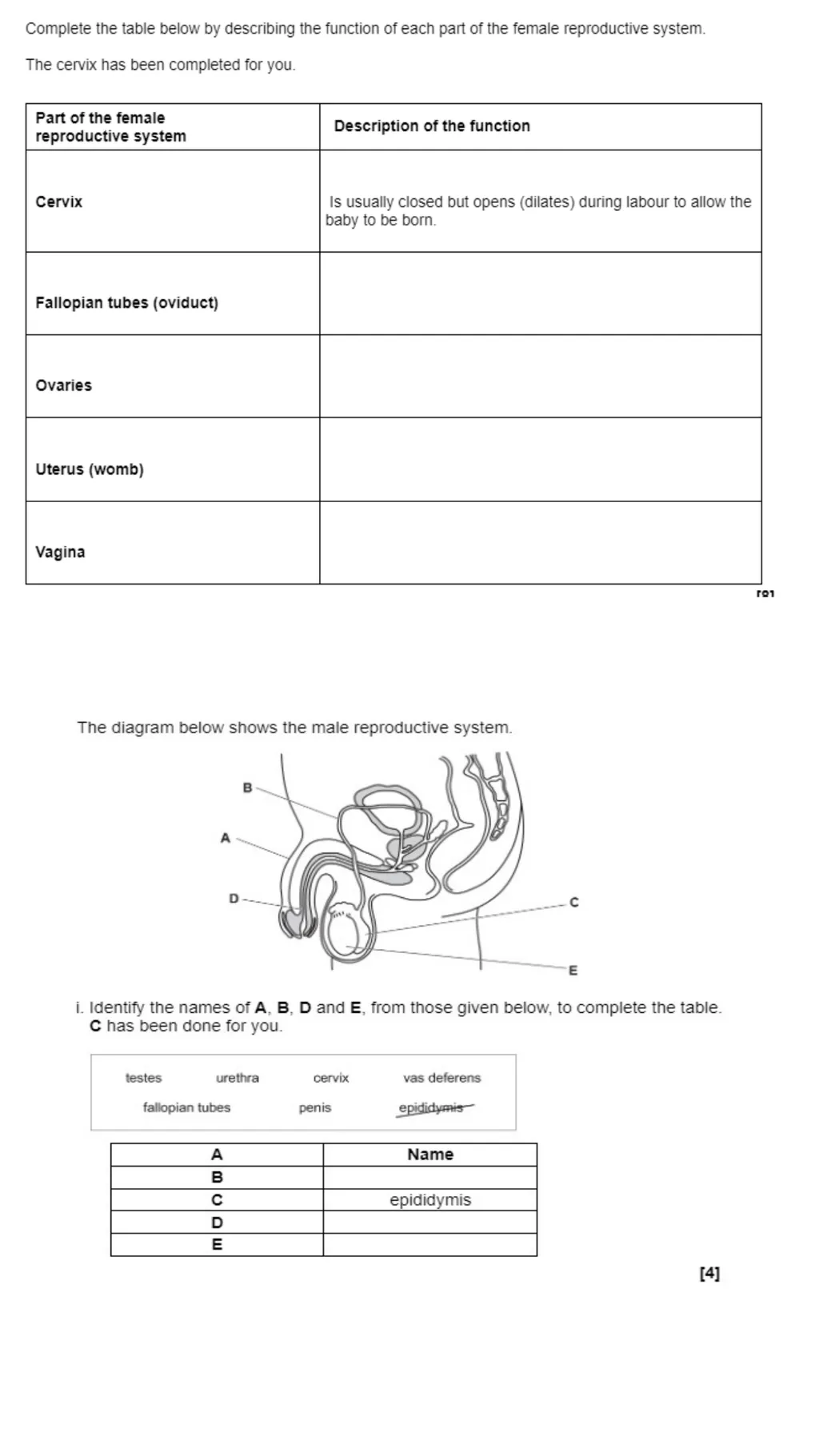 Child Development Revision Guide CNAT OCR Name: - slide 24 of 45