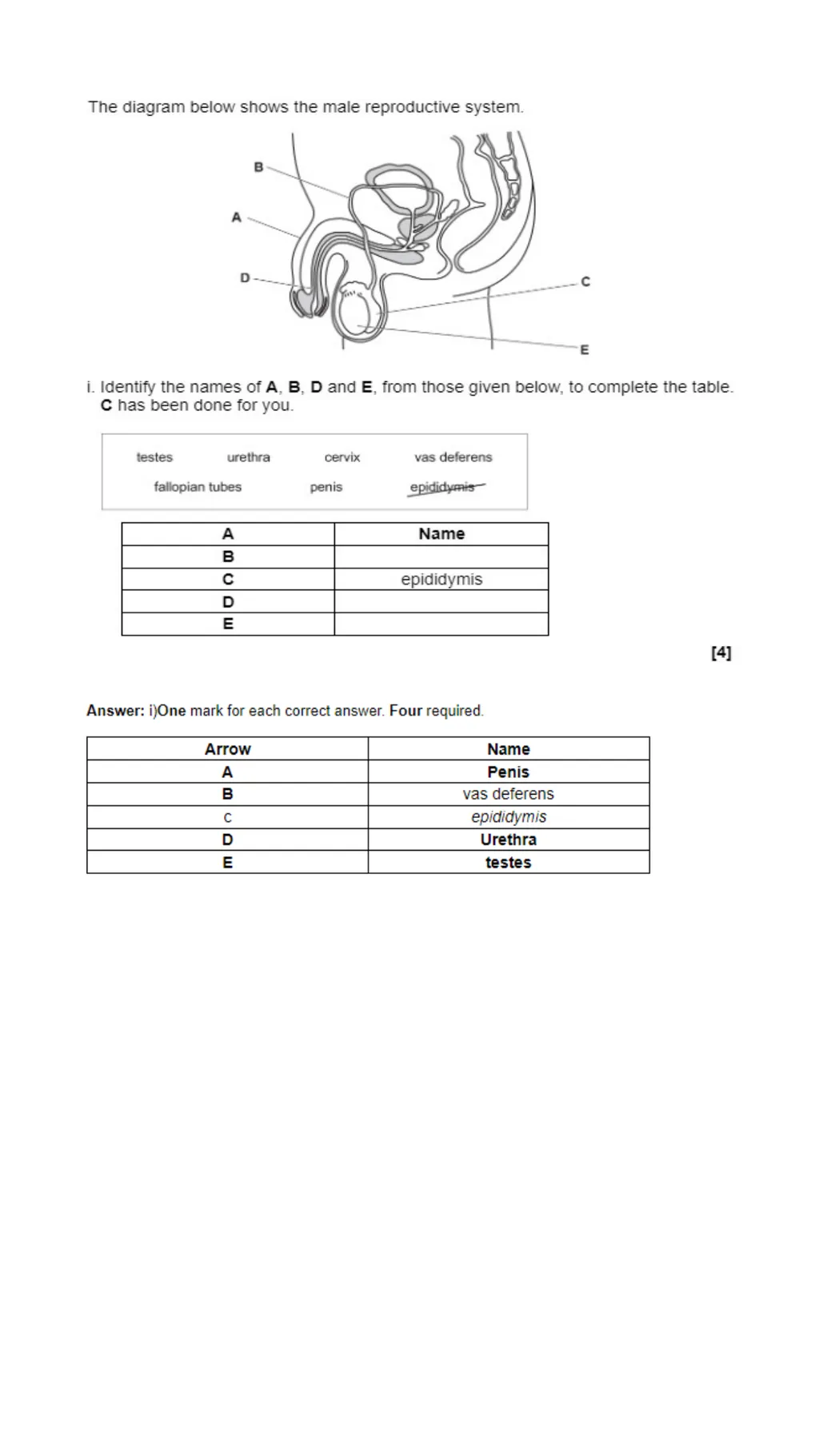 Child Development Revision Guide CNAT OCR Name: - slide 42 of 45