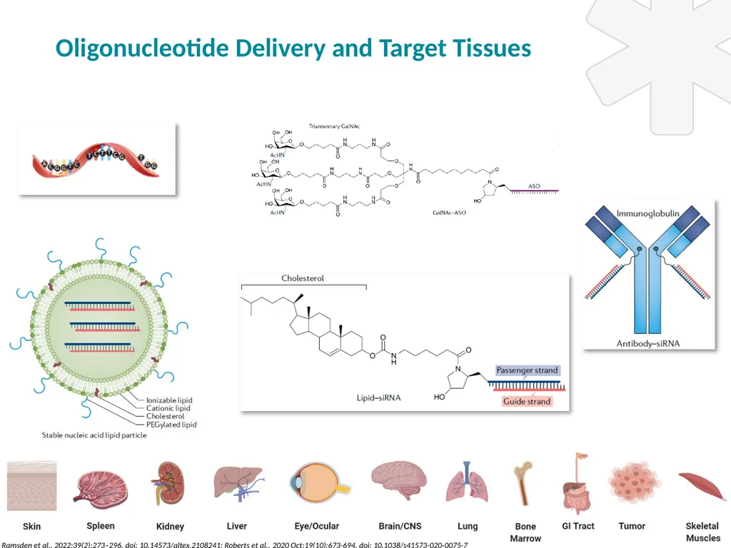 Preparing for a new ICH guideline on - slide 27 of 29