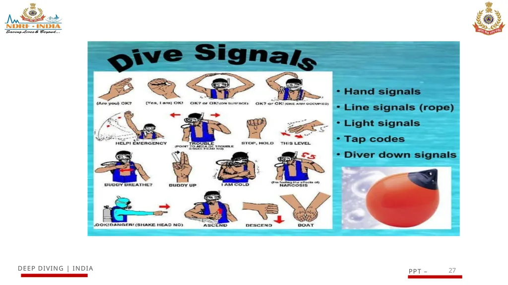 1 SCUBA AND ITS MAINTENANCE OBJECTIVE After - slide 27 of 42