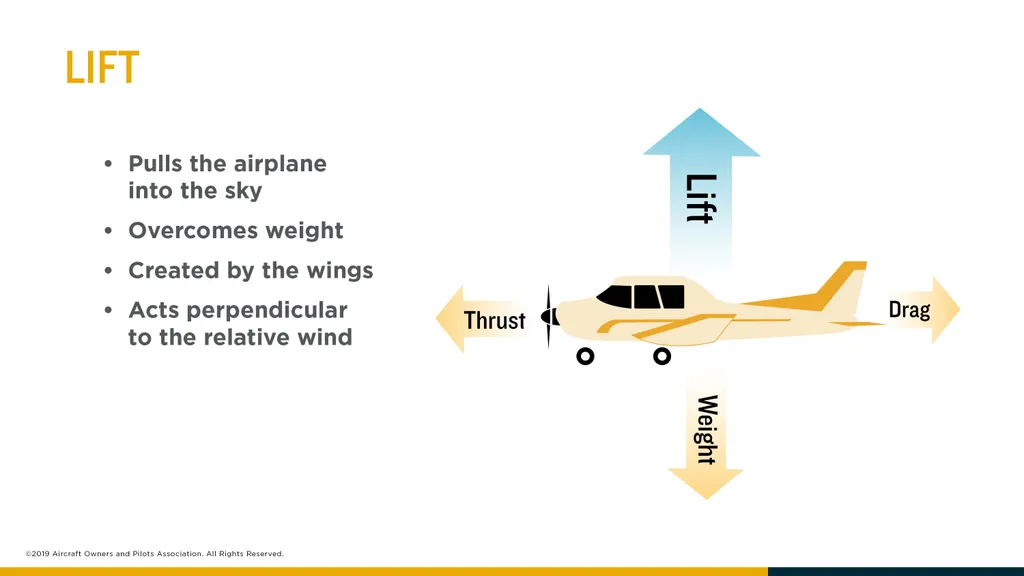 Untitled Presentation - slide 6 of 23