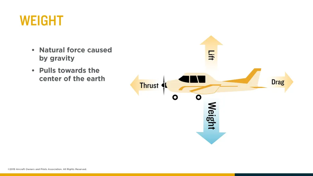 Untitled Presentation - slide 7 of 23