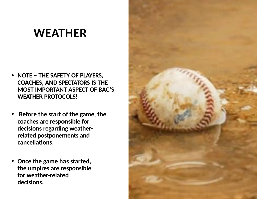 2025 UMPIRE TRAINING INTRODUCTION BAC – Carrie - slide 20 of 61