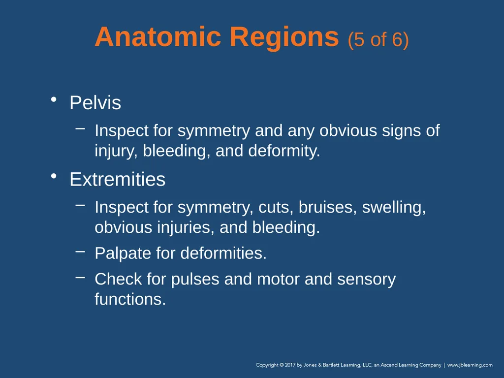 Chapter 9 Patient Assessment National EMS - slide 129 of 177
