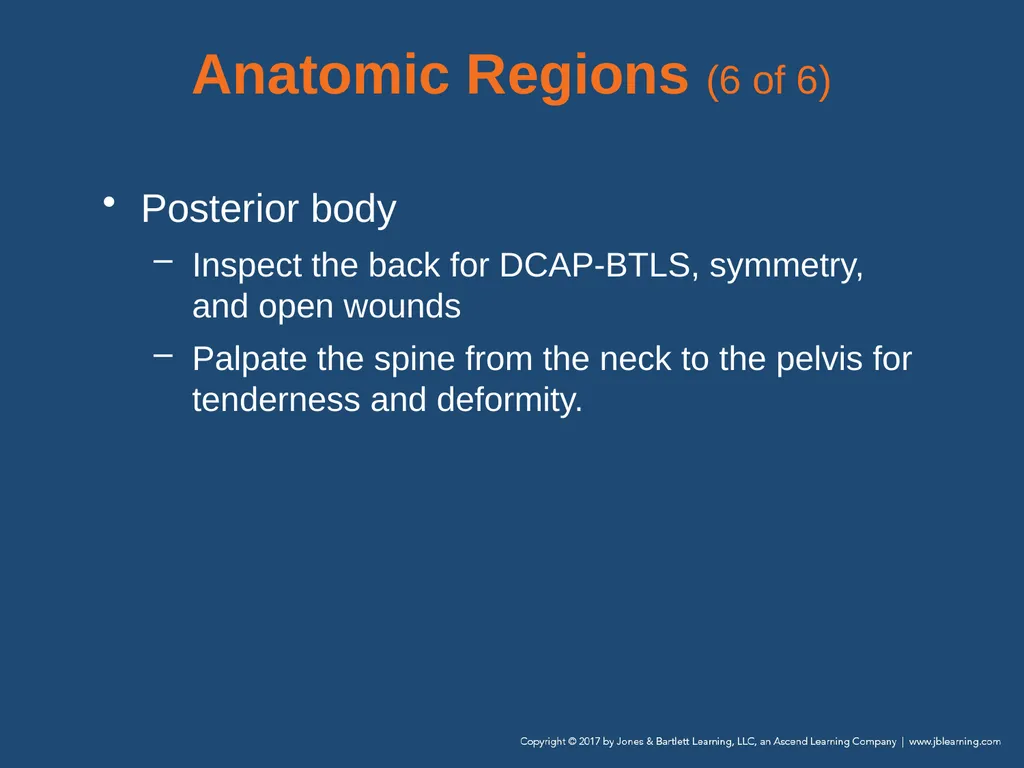 Chapter 9 Patient Assessment National EMS - slide 130 of 177