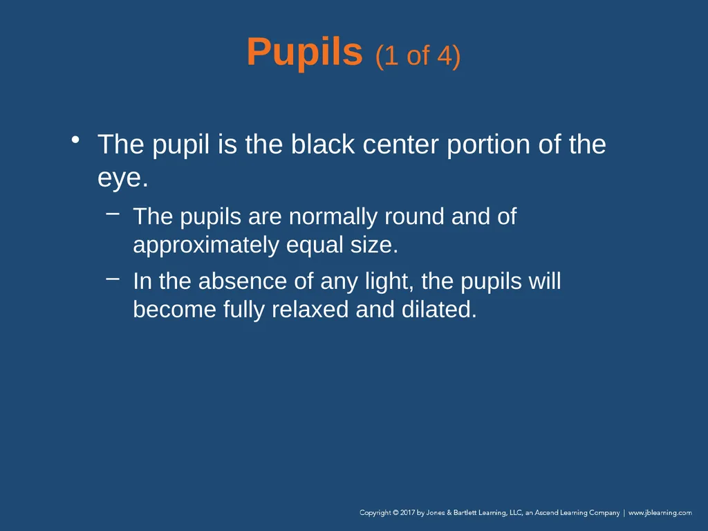 Chapter 9 Patient Assessment National EMS - slide 120 of 177