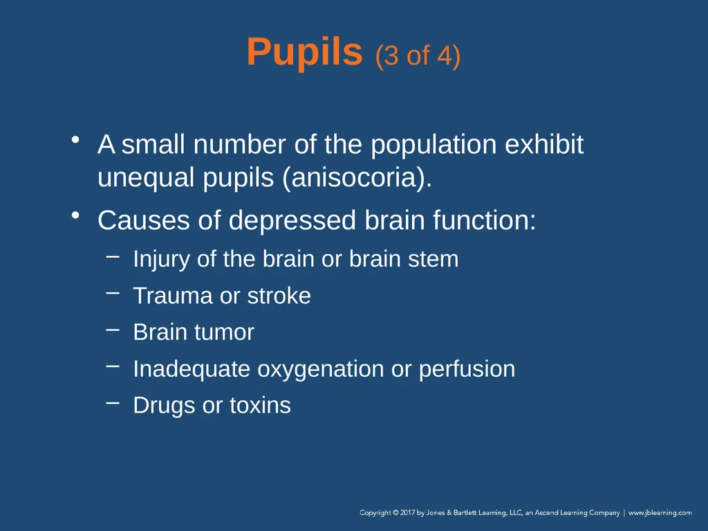 Chapter 9 Patient Assessment National EMS - slide 122 of 177