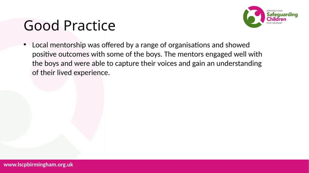 Learning Lessons from Serious Cases Briefing Note - slide 3 of 6