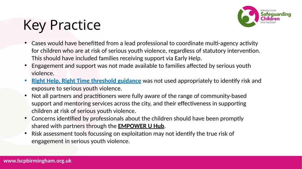 Learning Lessons from Serious Cases Briefing Note - slide 4 of 6