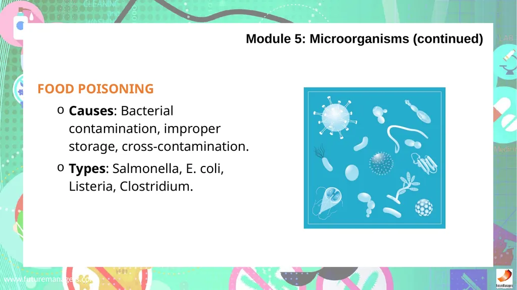 Sanitation, Safety and Housekeeping N4 - slide 31 of 37