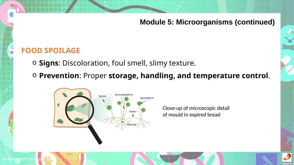 Sanitation, Safety and Housekeeping N4 - slide 32 of 37