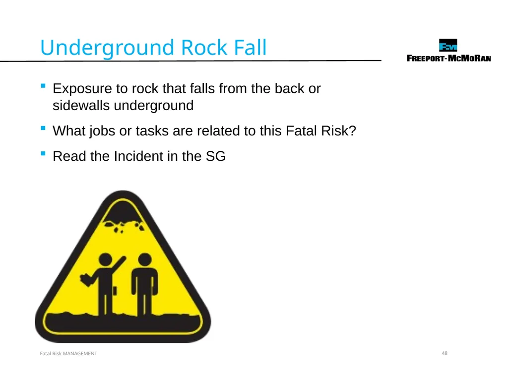 VERSION 2 / JULY 2018 Fatal Risk Management Fatal - slide 48 of 96