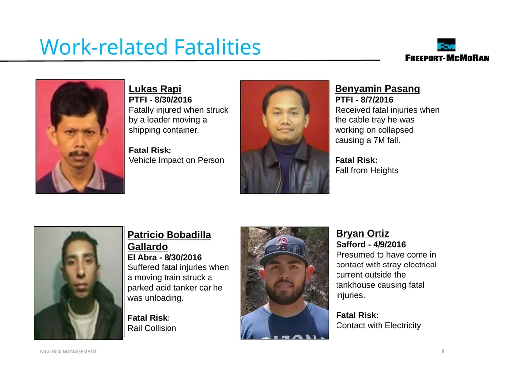 VERSION 2 / JULY 2018 Fatal Risk Management Fatal - slide 8 of 96