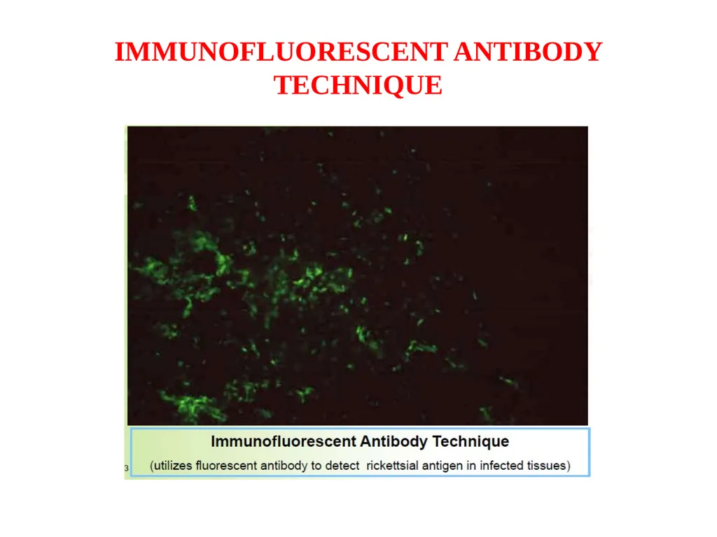 To: Pharm. D II yr. Students Sub: Pharmaceutical - slide 25 of 27