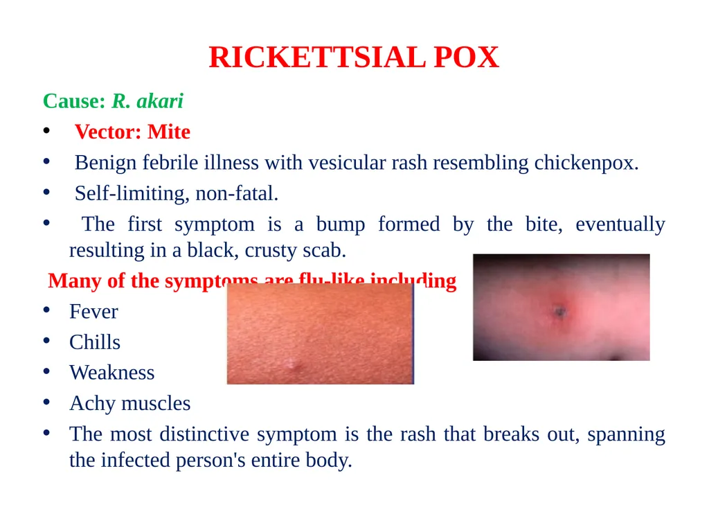 To: Pharm. D II yr. Students Sub: Pharmaceutical - slide 20 of 27